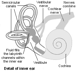 dizziness