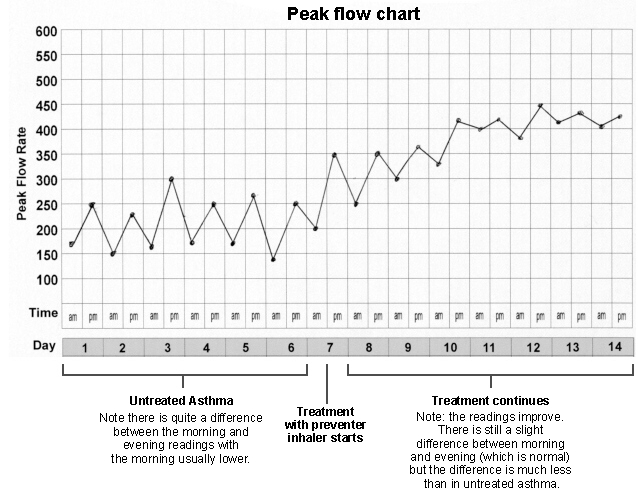 peak meter flow chart​