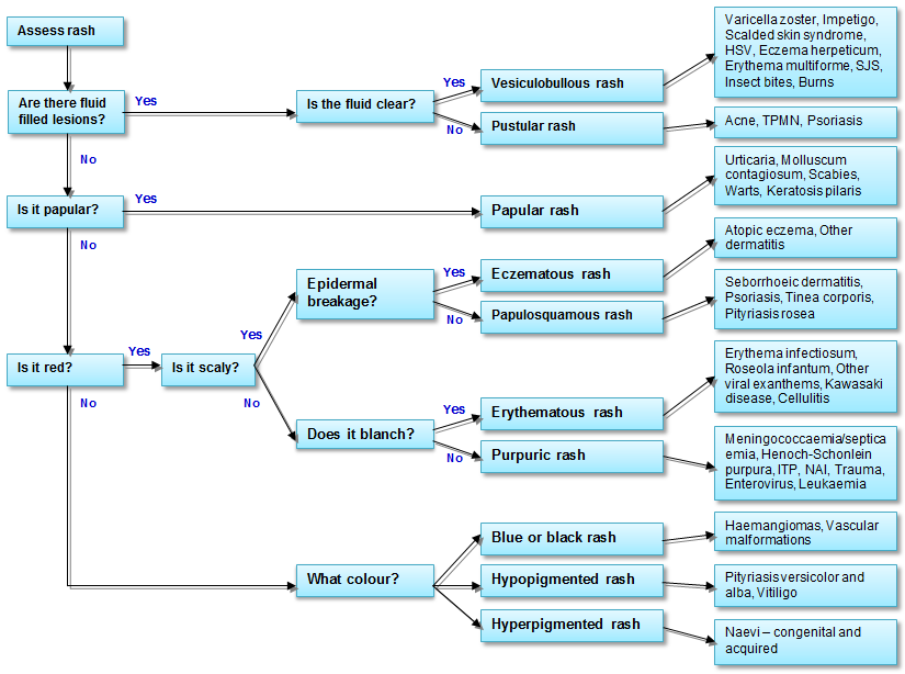 Rash algorithm