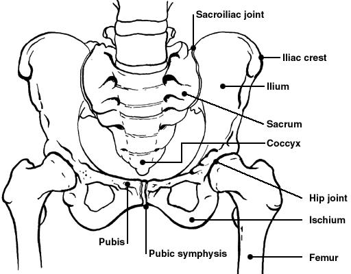 pelvic fracture