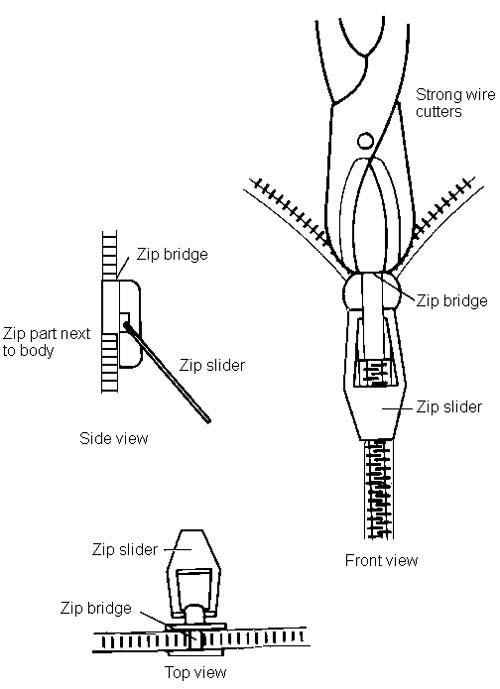 ZIPPED PENIS